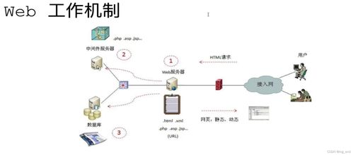 网络安全学习路径 从渗透测试到软件开发的全方位指南